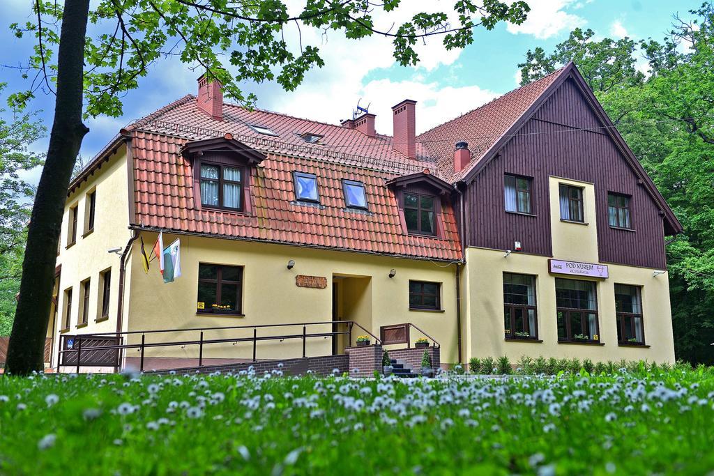 Hôtel Willa Strzelnica à Kościerzyna Extérieur photo